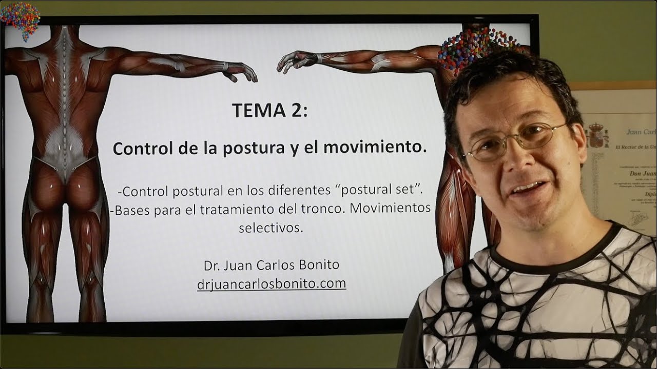 CONCEPTO BOBATH: CONTROL DE LA POSTURA Y EL MOVIMIENTO