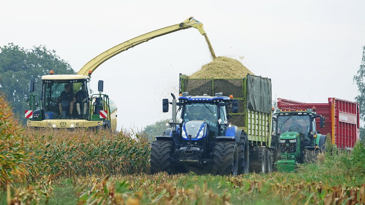 Mais Silage | Krone BiG X 630 + New Holland + John Deere | Nikkels | 2024