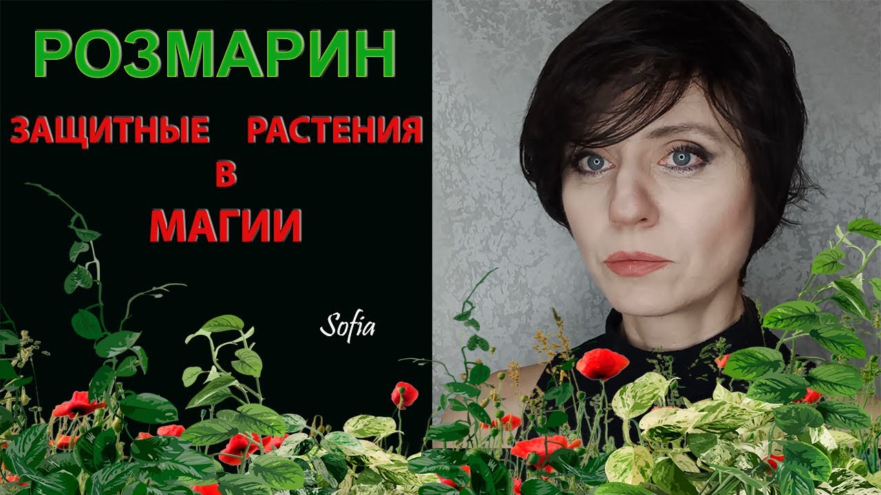 Защитные растения в магии. Розмарин.