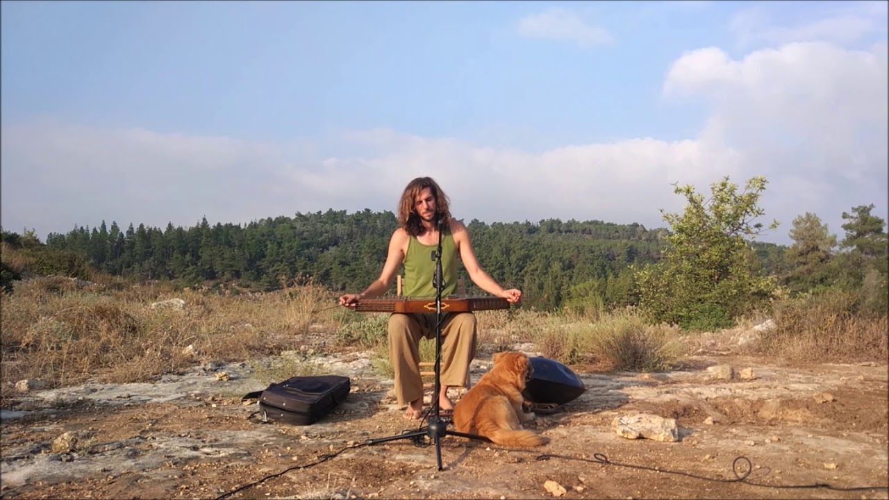 Oded Naftali ~ Forest Magic ~ HangDrum / Persian Santur / Looper