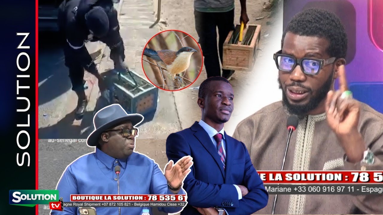 INTERDICTION DE VENTE DE PITHIE SA NDIOGOU DIT NIET...DIAPPE BI LAGNOU WARA AAYÉ WAAYÉ...BAYE ASSANE