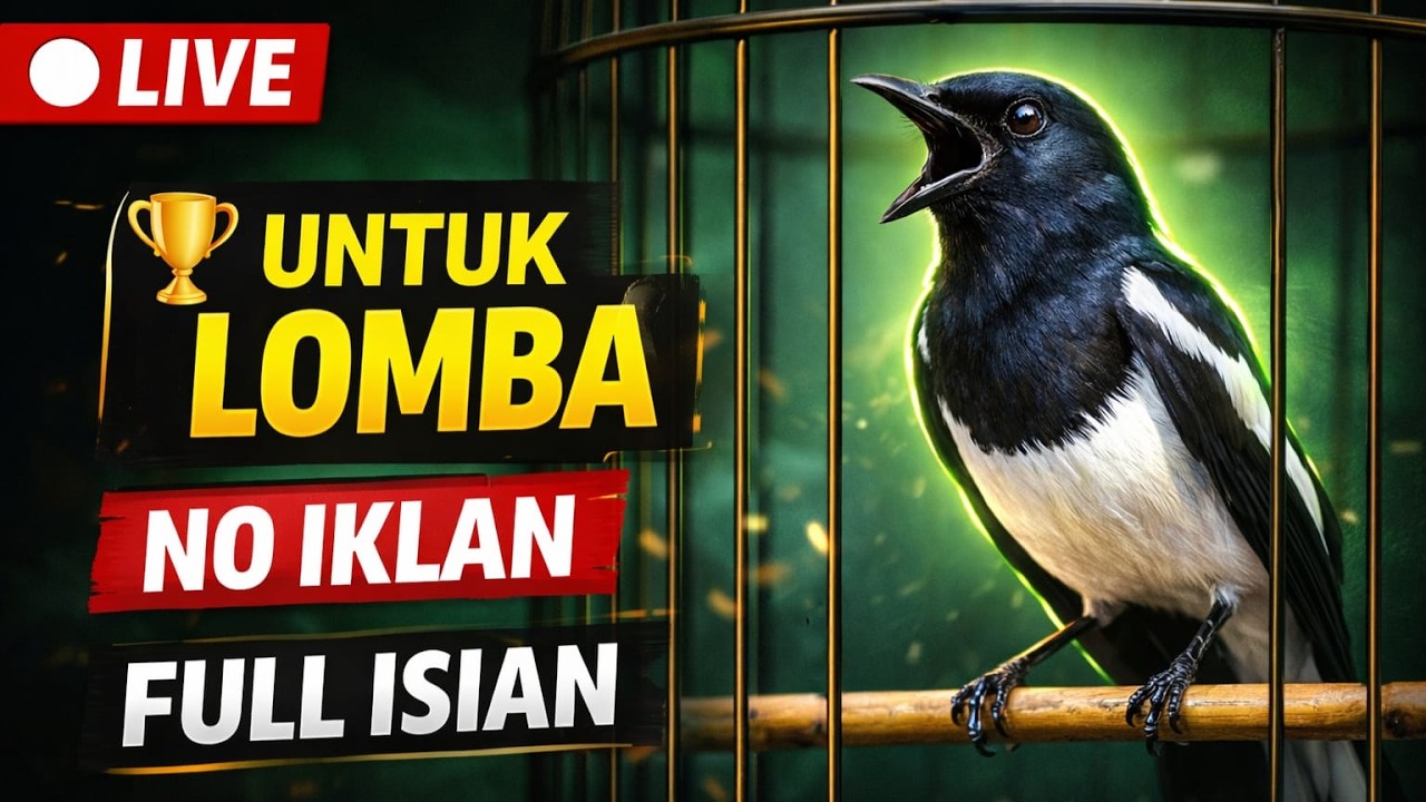 🔴 LIVE MASTERAN KACER GACOR 🔥 NO IKLAN | Isian Komplit Untuk LOMBA