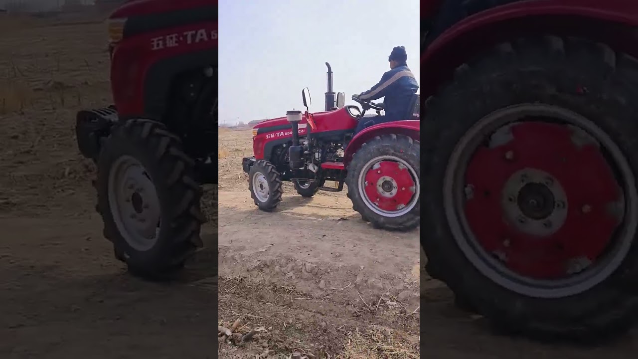 #agriculture #youtubeshorts #youtubeshorts #agriculturefarming #agriculturefarming #farming