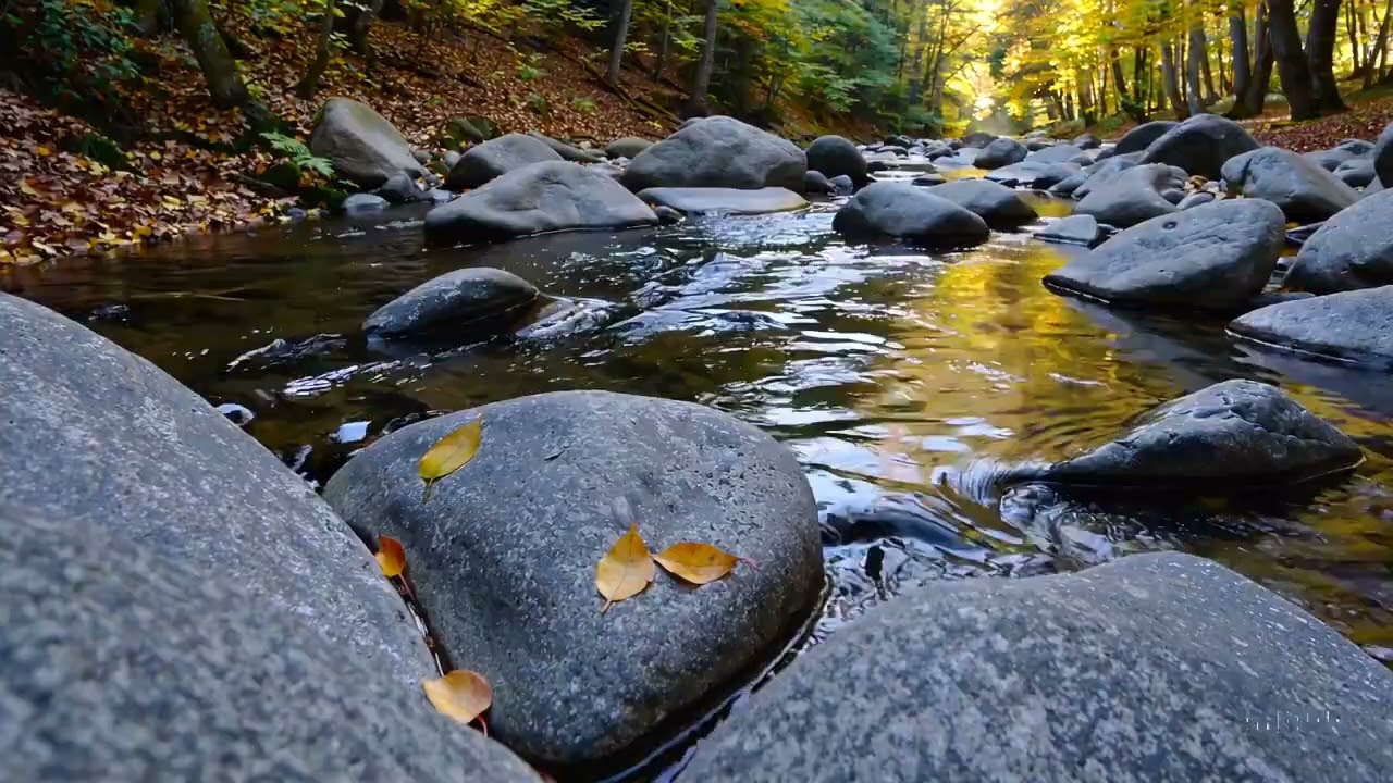 Relaxing Water Sounds & Music for Stress Relief | Calm Mind & Deep Sleep