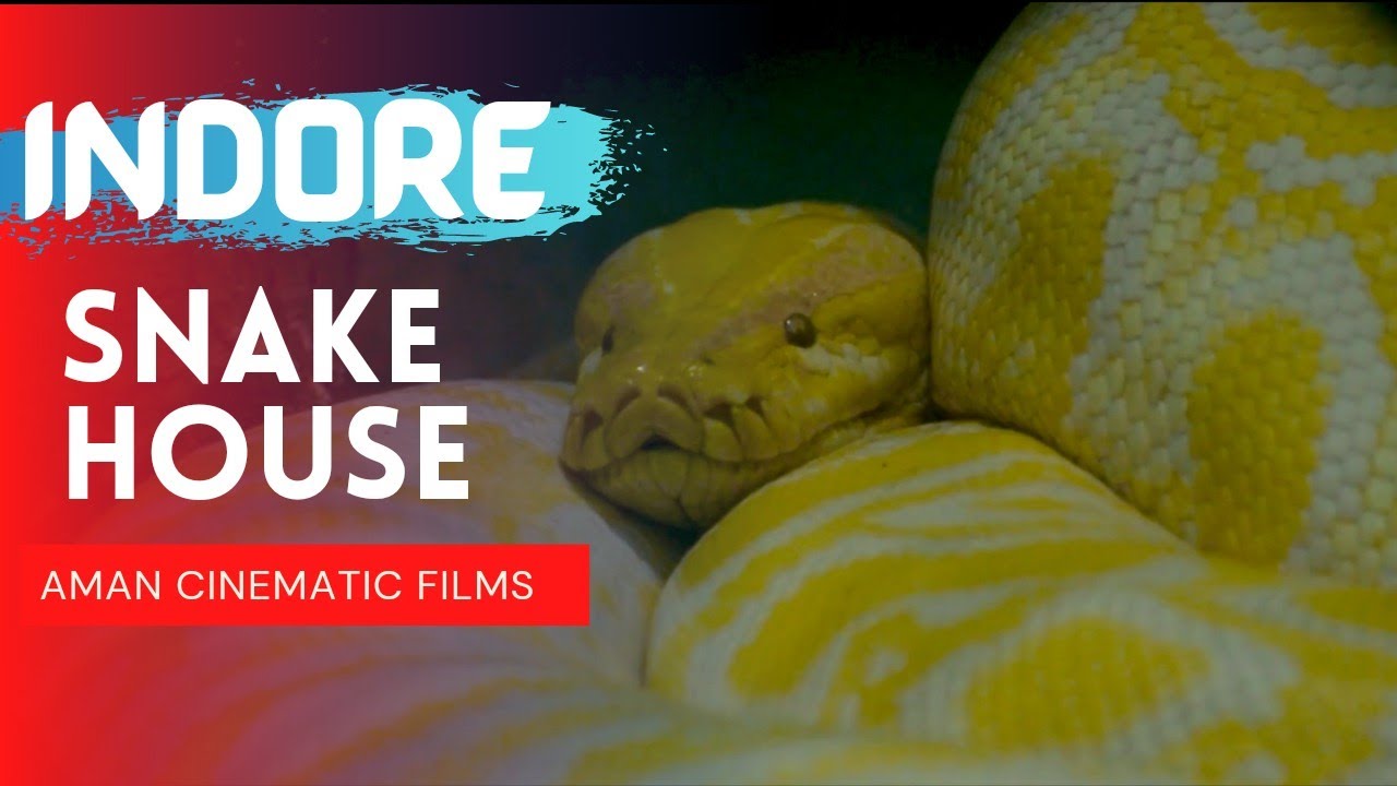 Snake House in 4K || Indore Zoo || Cinematic Video || Indore  | Cleanest city of India | Nikon D5300