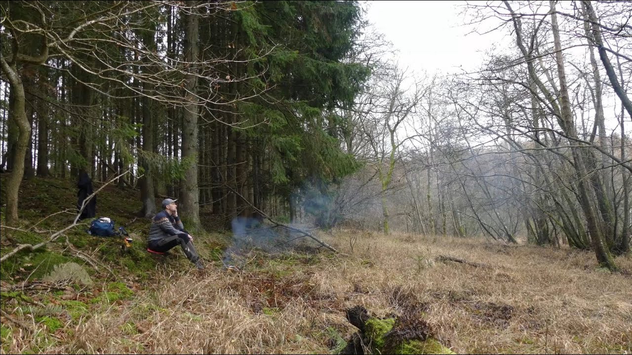 Short break in the woods