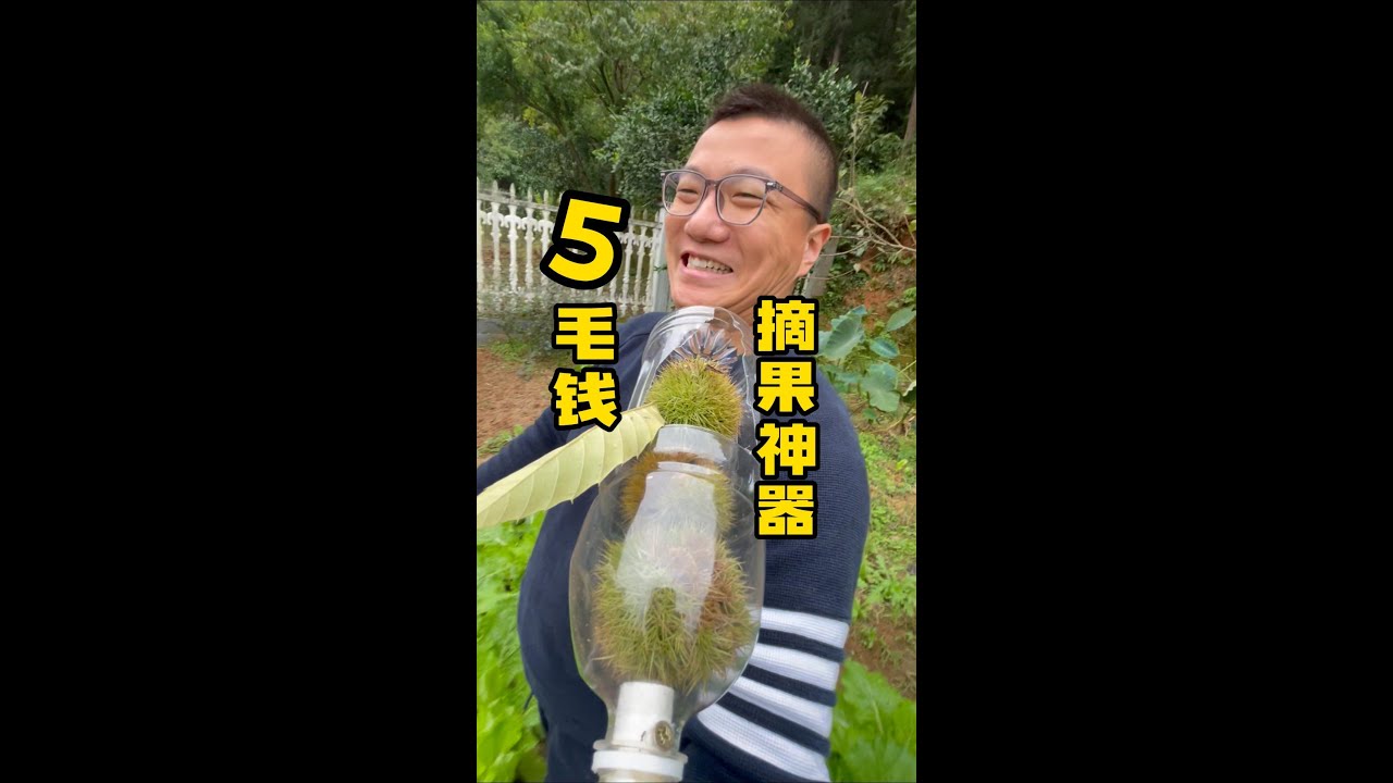 第1集：自制“摘果神器”，带着它感受收获的秋天