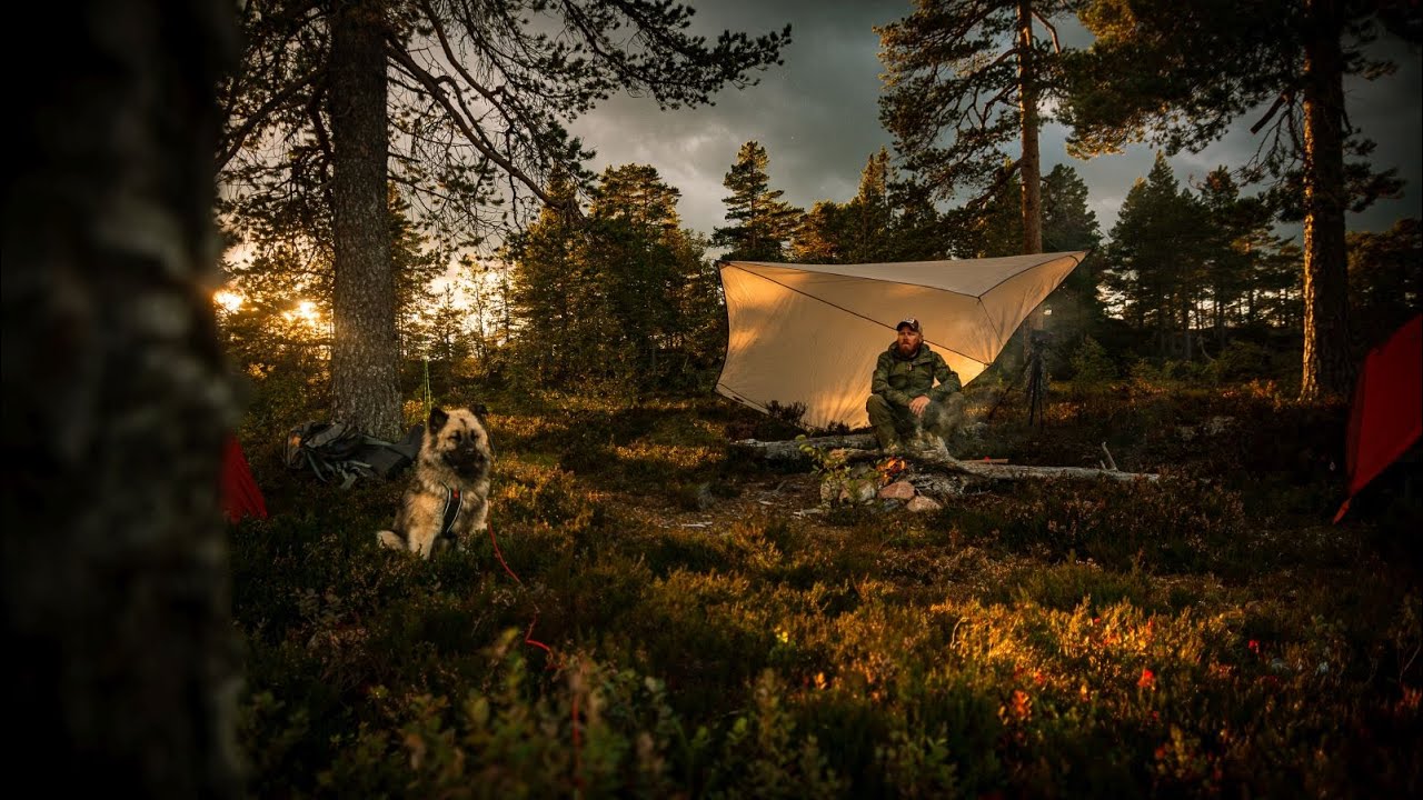 Ørretjakt i tyriskauen