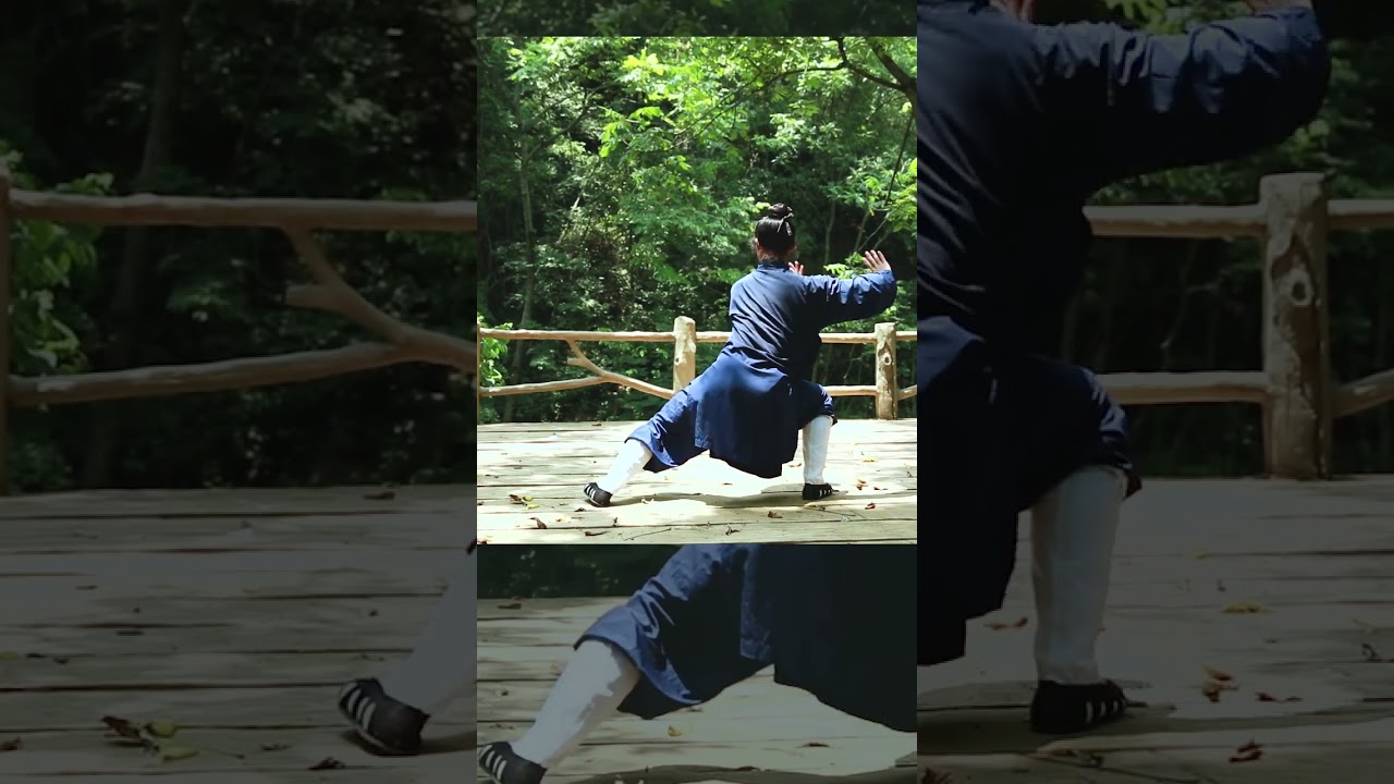 WuDang TaiHe Quan by XiaoYun