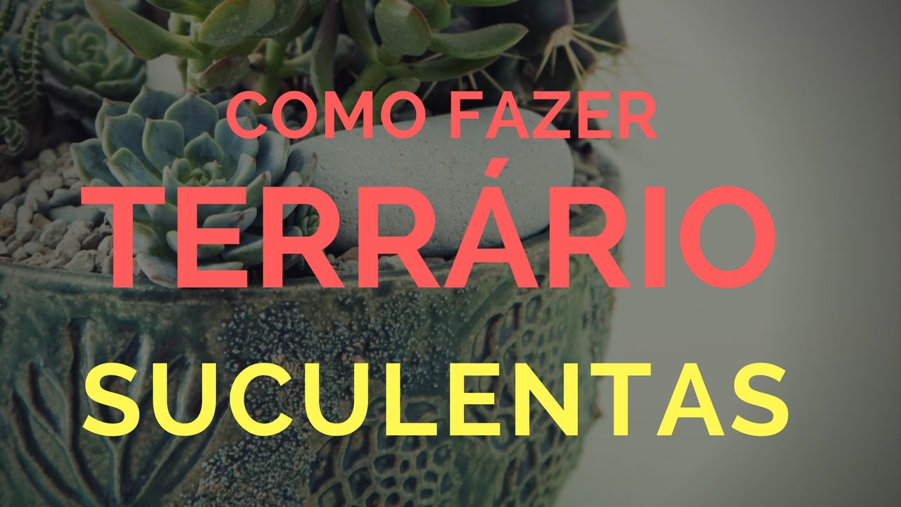 COMO FAZER TERRARIO PASSO A PASSO