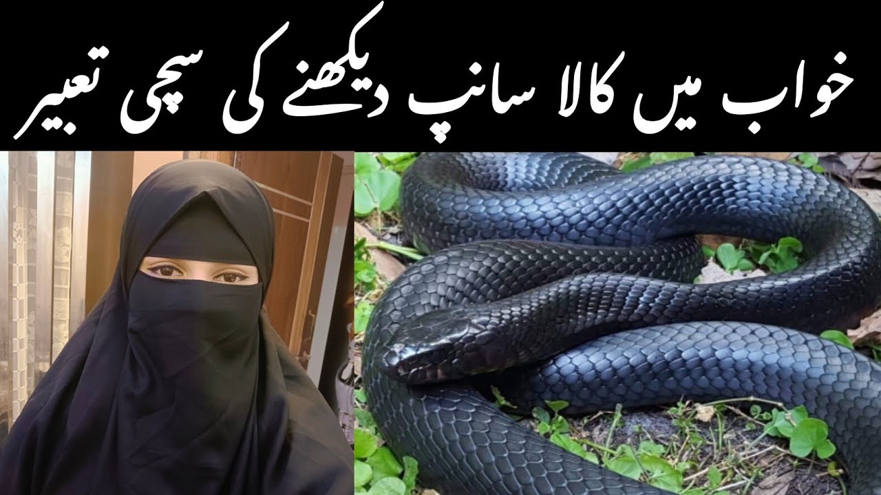 khwab mein kala saamp dekhna | khwab mein kala sanp dekhna | khwab mein sanp dekhna | snake in dream