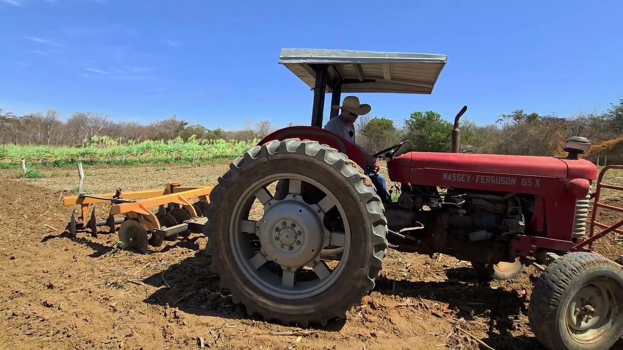 PREPARANDO A TERRA PARA PLANTAR. TRATOR MASSEY FERGUSON 65X. 