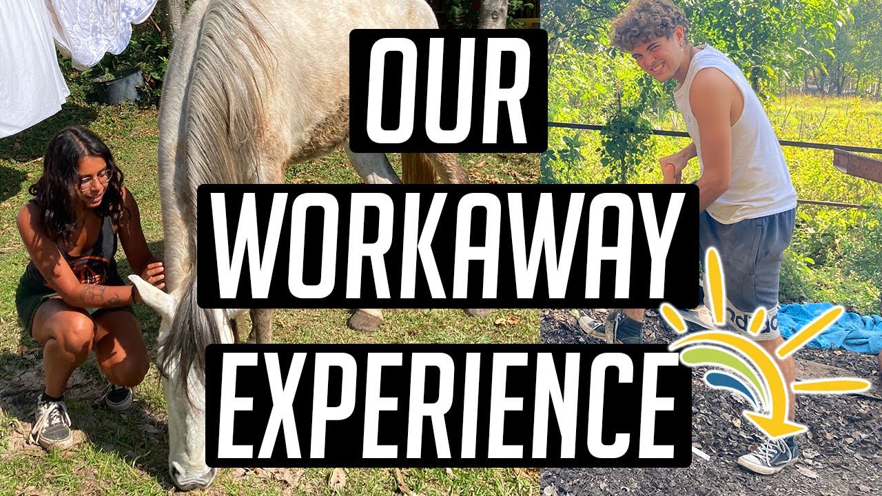 Our Workaway Experience | Travel Vlog