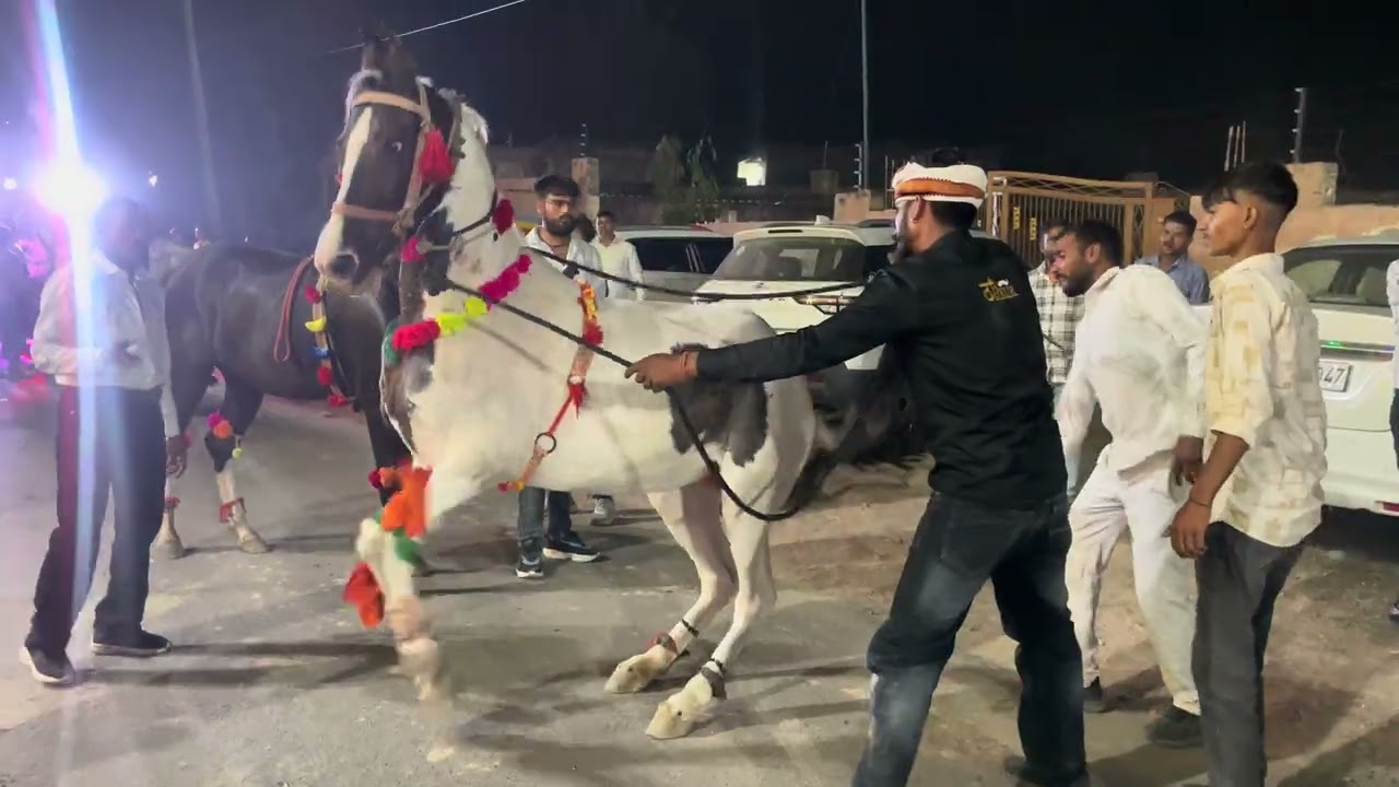 Horse Dance In Dehati Baraat || Baldev || Mathura || Dance || Satto Gurjar #holidance #dance #song 