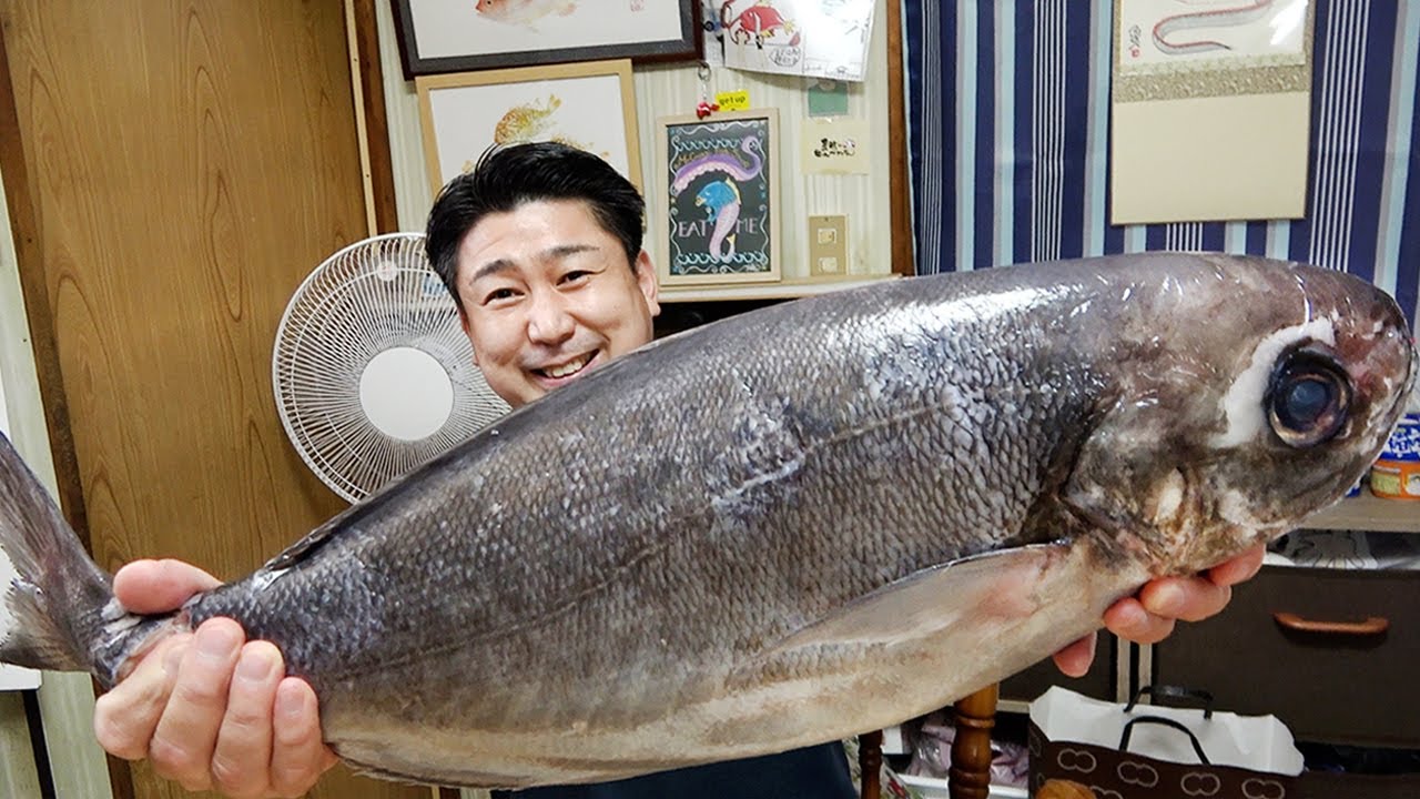 かねこからもらった巨大なお魚を捌いたら脂が！気になるお味は！？