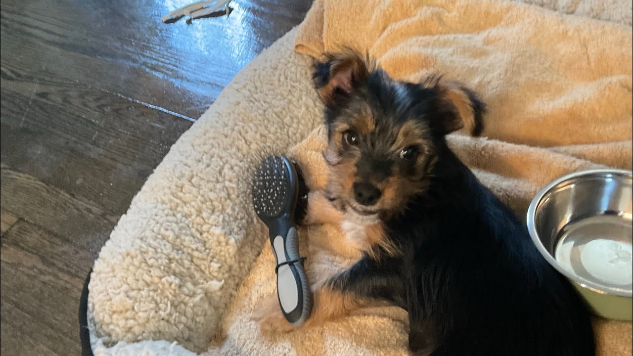 My new family member!