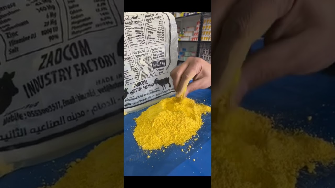 فوائد غسل الحلال بالكبريت لتحسين الشعرة والقضاء على الحشرات