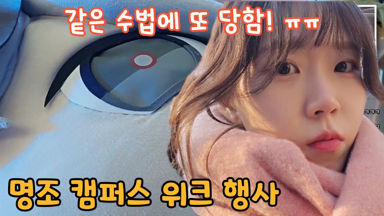 카멜리아 인형탈을 또 만났다!『띵조 캠퍼스 위크』 명조 오프라인 행사 방문 후기!