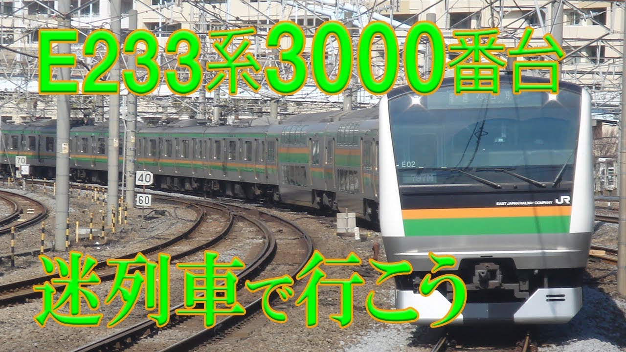 【迷列車で行こう】#4 E233系3000番台近郊型 上野東京ライン・湘南新宿ライン系統 (修正版) ～突然の登場から激動の時を乗り越えて活躍する名車の中の迷車～
