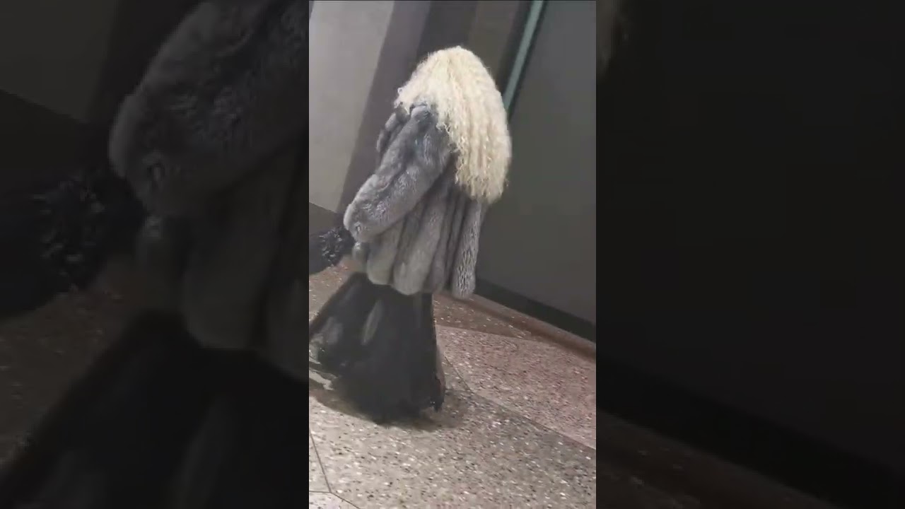 gorgeous outfit with fox fur coat