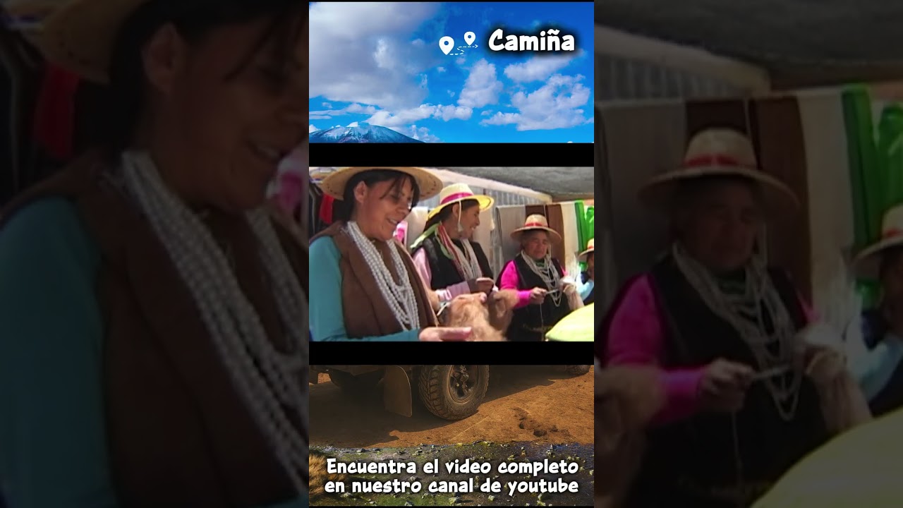 Short - Camiña
