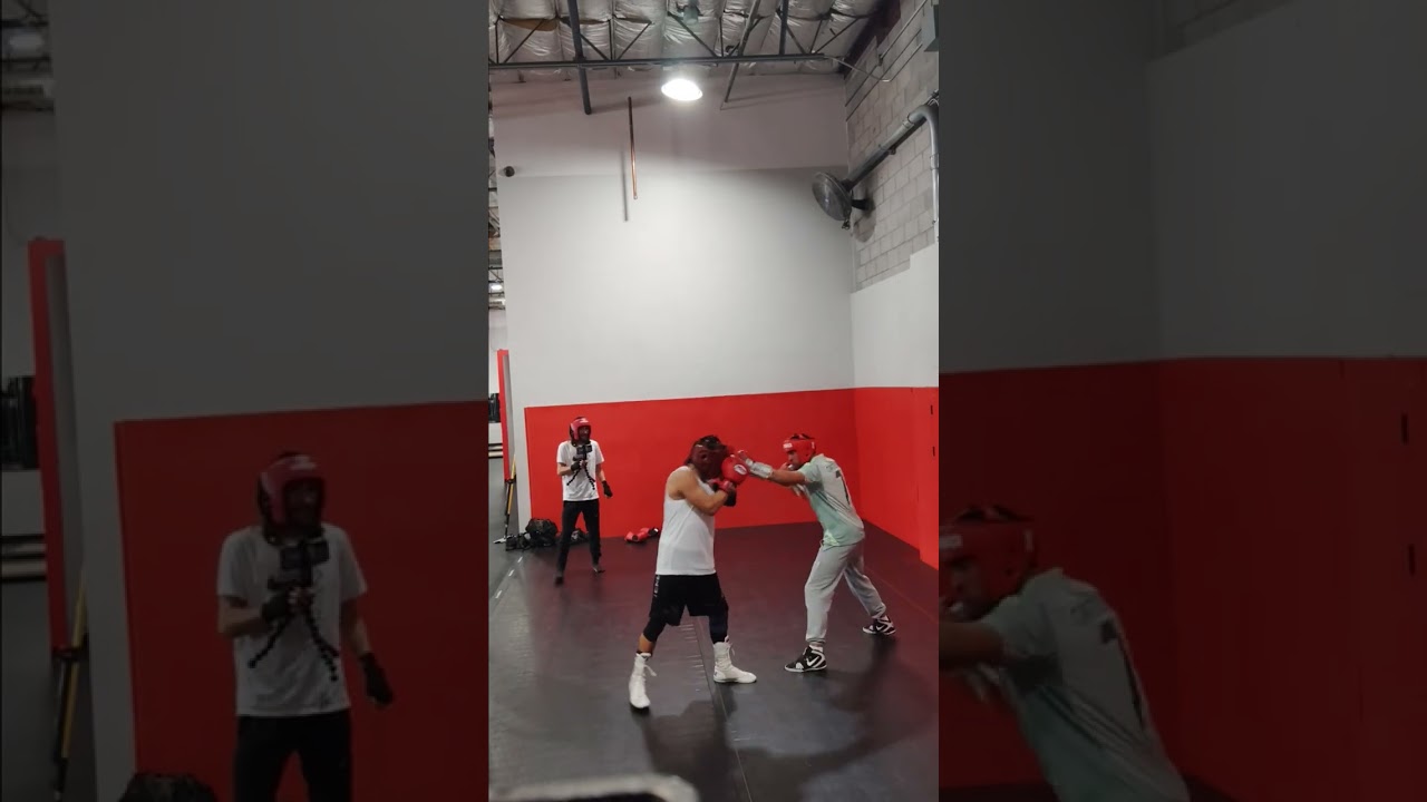 Rounds with Milo and Robby 🥊💥
