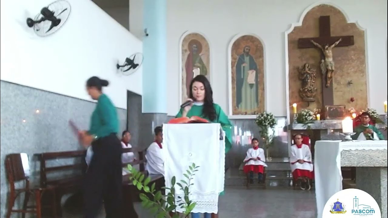 5º Domingo do tempo comum