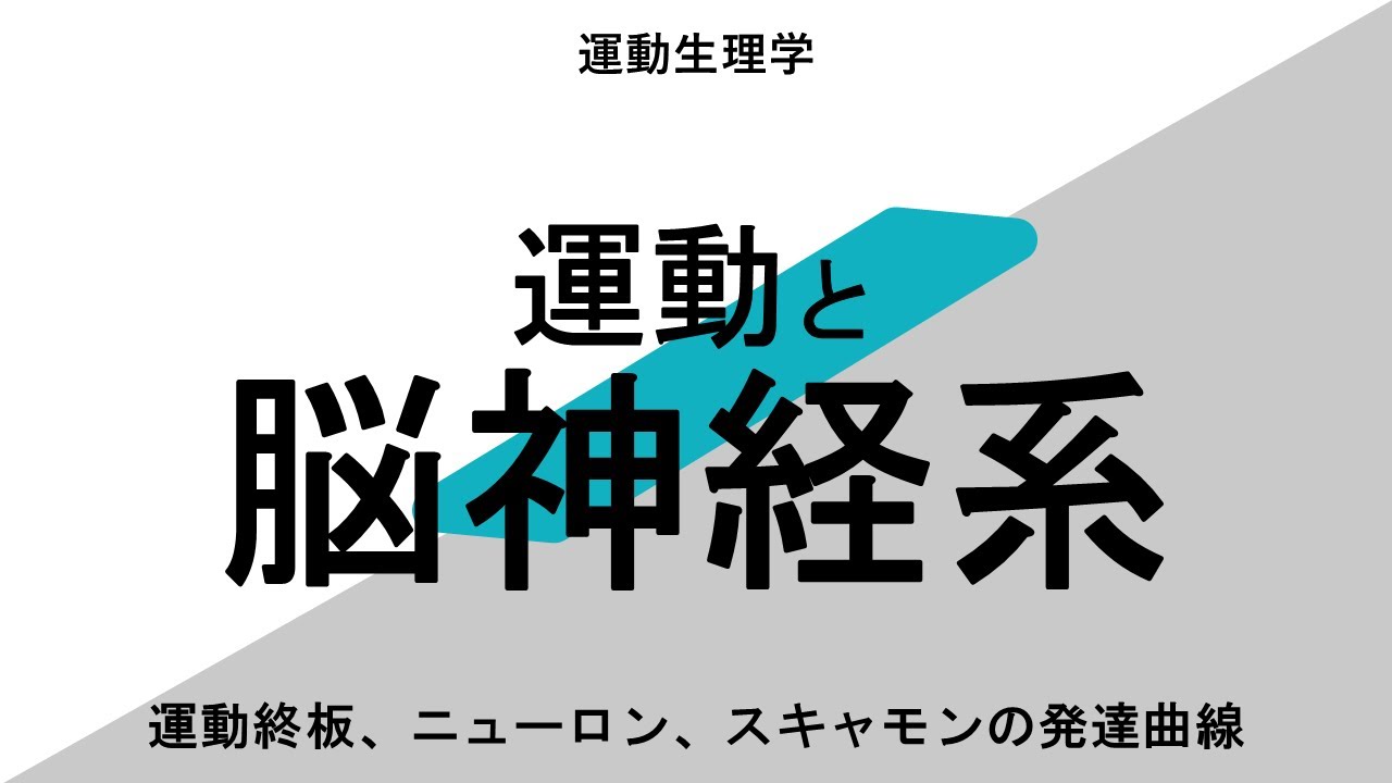 【脳・神経系と運動】について解説！