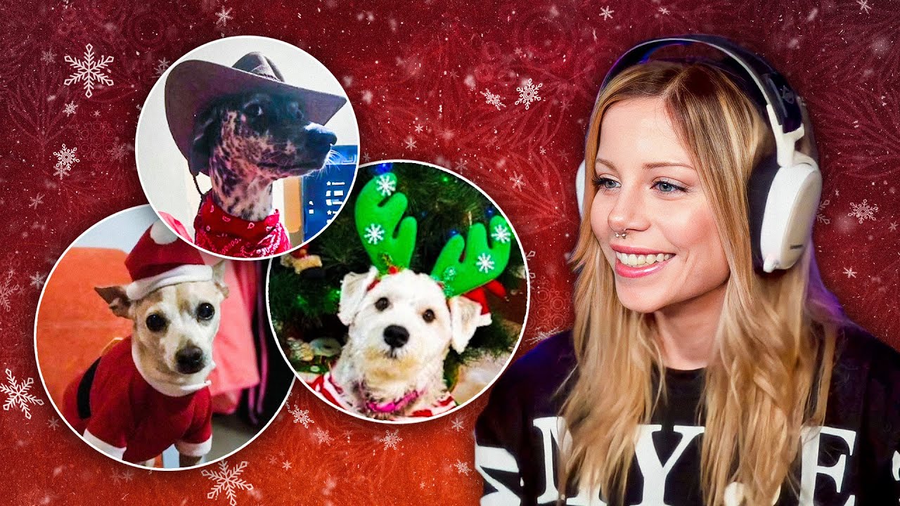 CONCURSO DE MASCOTAS!! 🐱🐶 | BIYIN