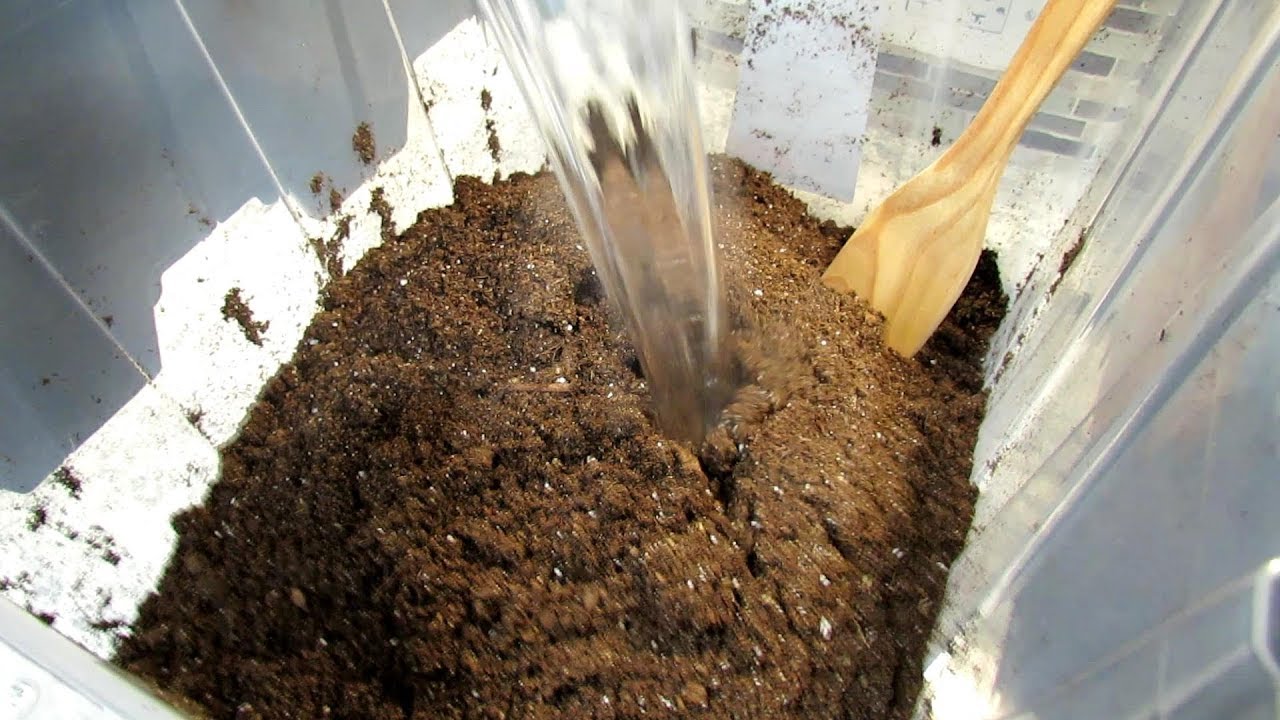 Seed Starting Basics: Sterilizing Your Mix, Thumb Packing Cells, Over-Seeding Herbs & Onions