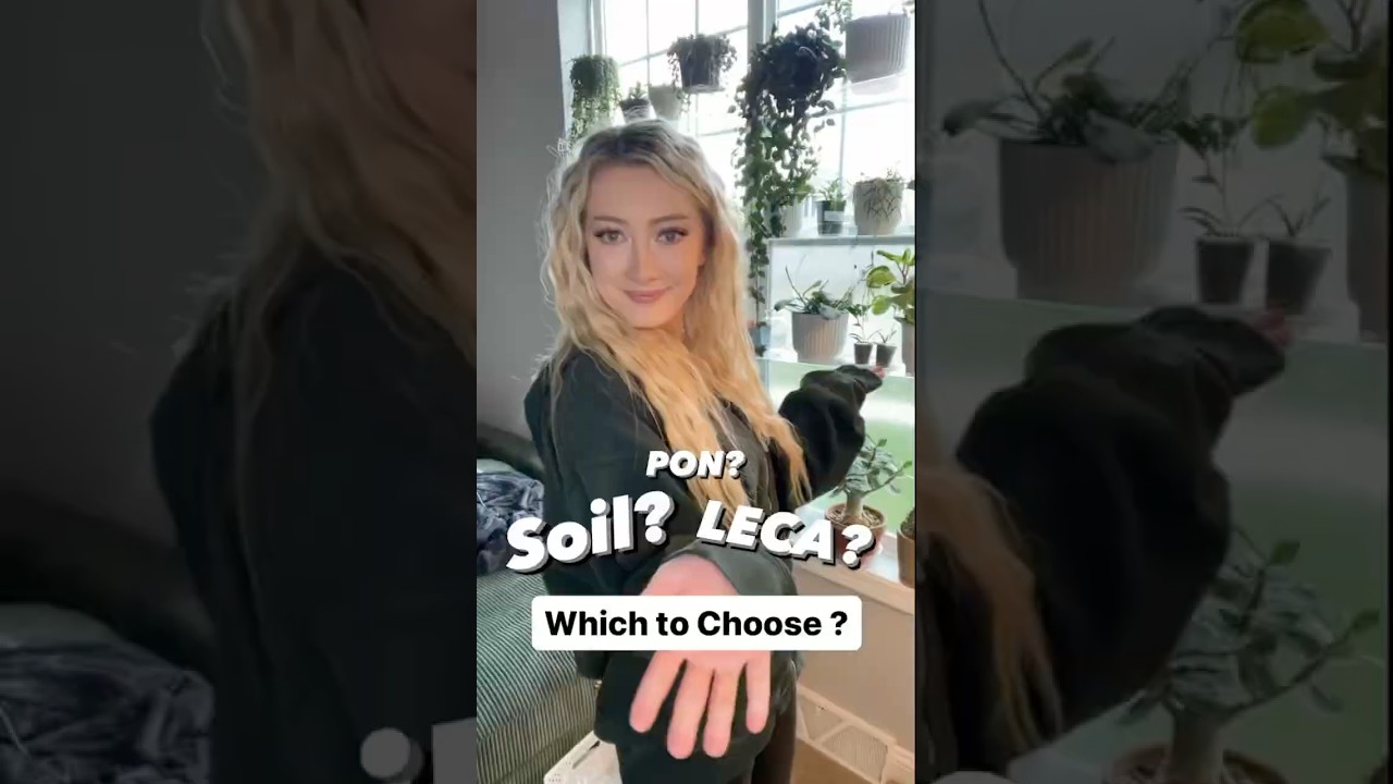 Soil? Pon? LECA? Which substrate to choose?! #leca #semihydro #semihydroponics #soilless #lechuza