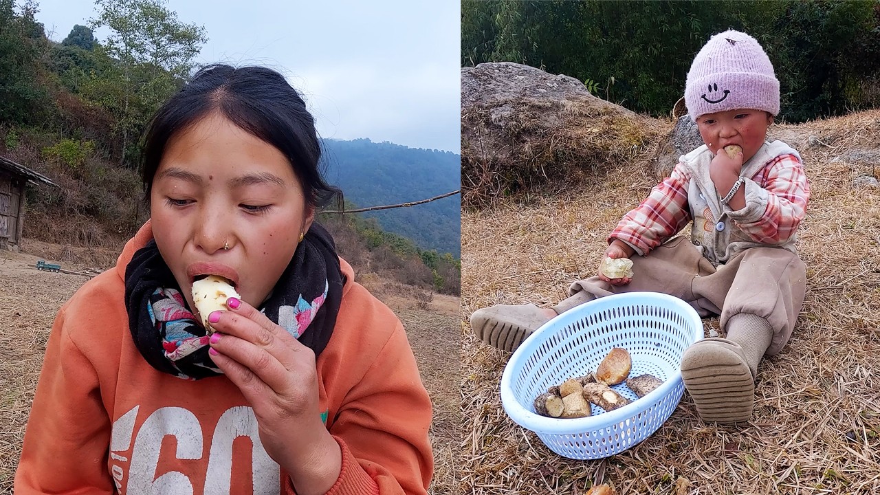 manjita enjoying yams root with Niyabung Rai || Himalayan Nepal || shepherd life of Nepal ||