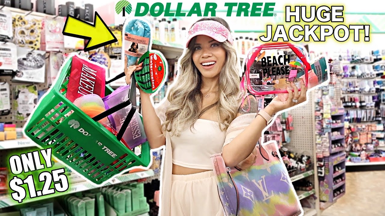 *SHOCKING* DOLLAR TREE NEW FINDS SHOPPING SPREE! $500 BUDGET