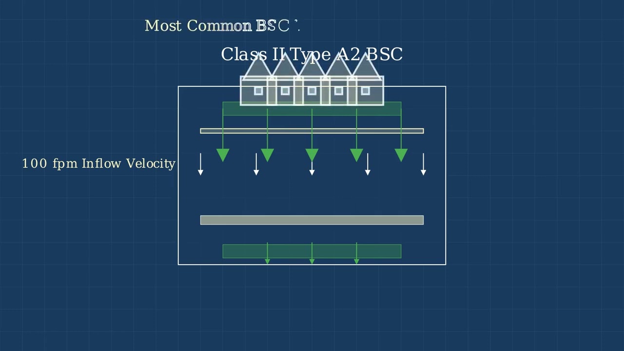 Biosafety Cabinets Explained Protecting Labs from Hazards