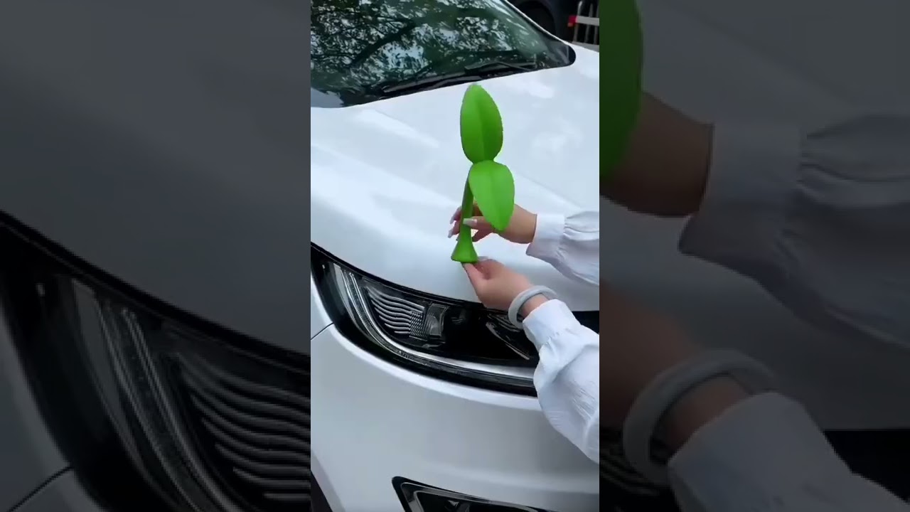 3D Car Roof Universal Sticker "Product Link in Description & Comments!