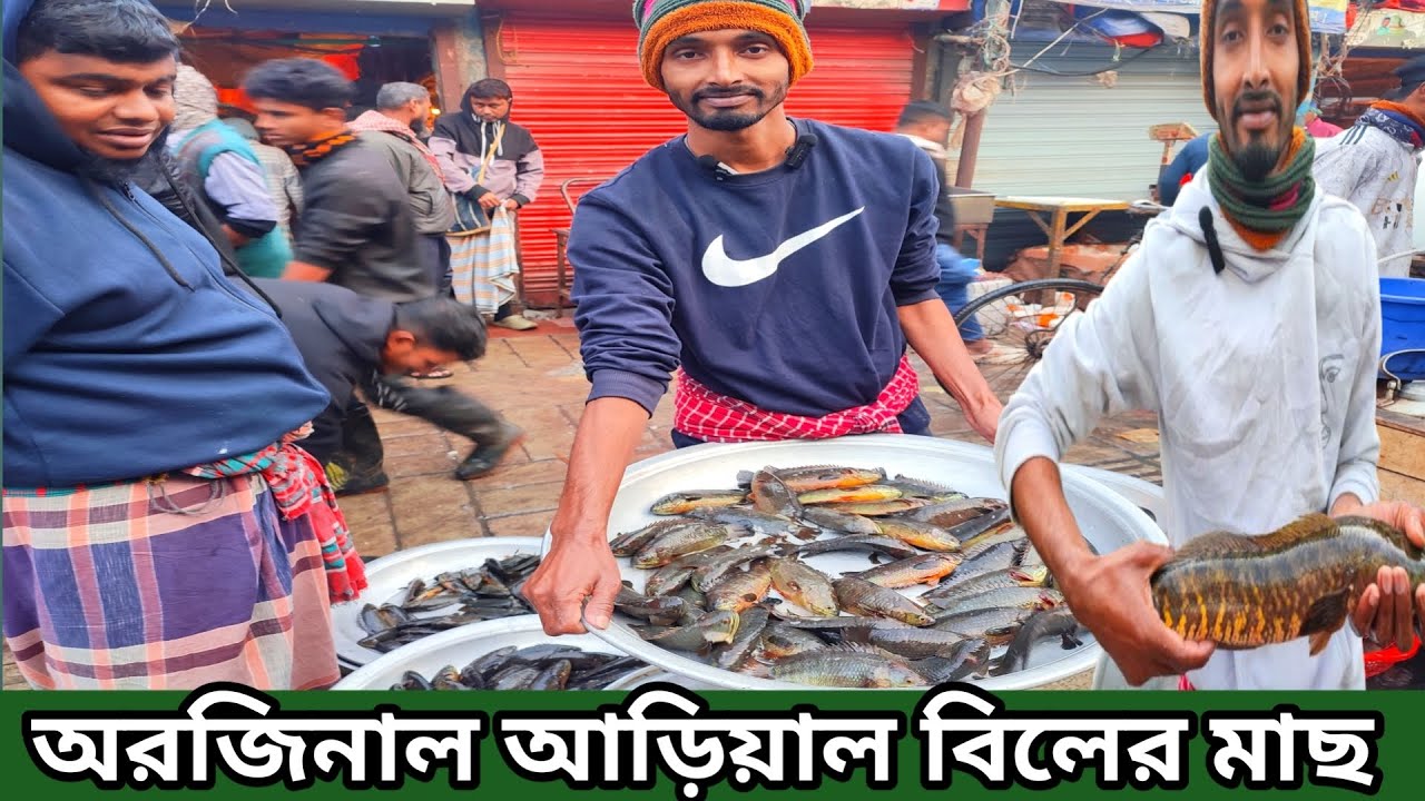 আড়িয়াল বিলের কৈ,মারুর,সিং,শৈল,আরও আছে বিভিন্ন ধরনের মাছ | ঢাকা কাওরান বাজার | Fish World Bhola