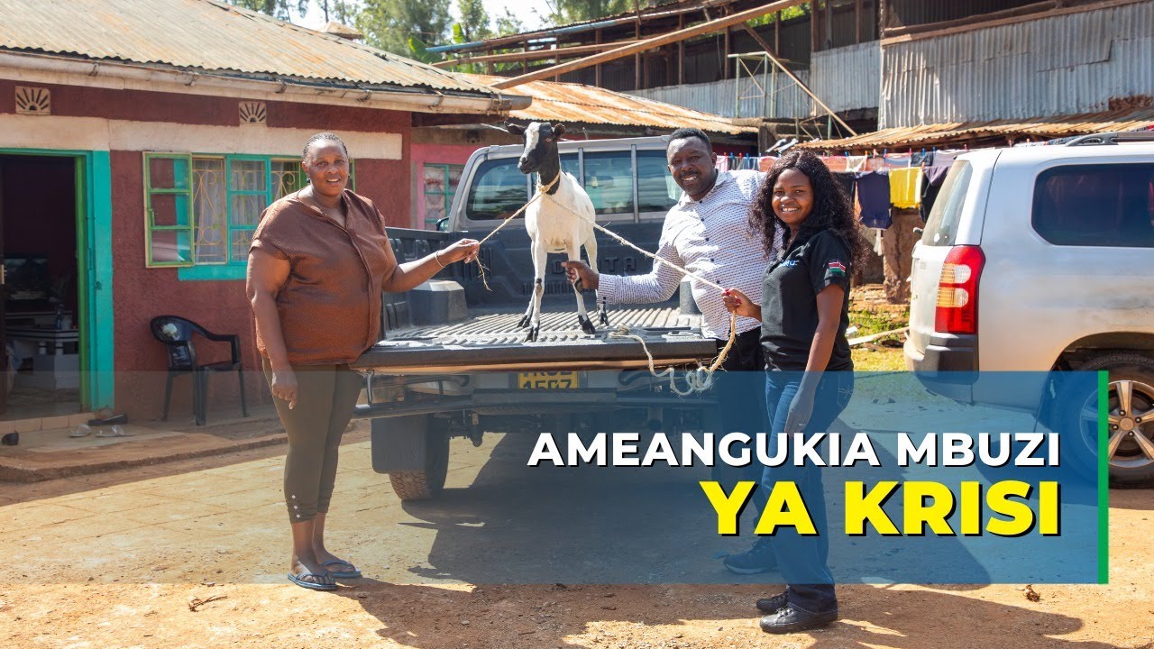 Ameangukia mbuzi hii krisi!