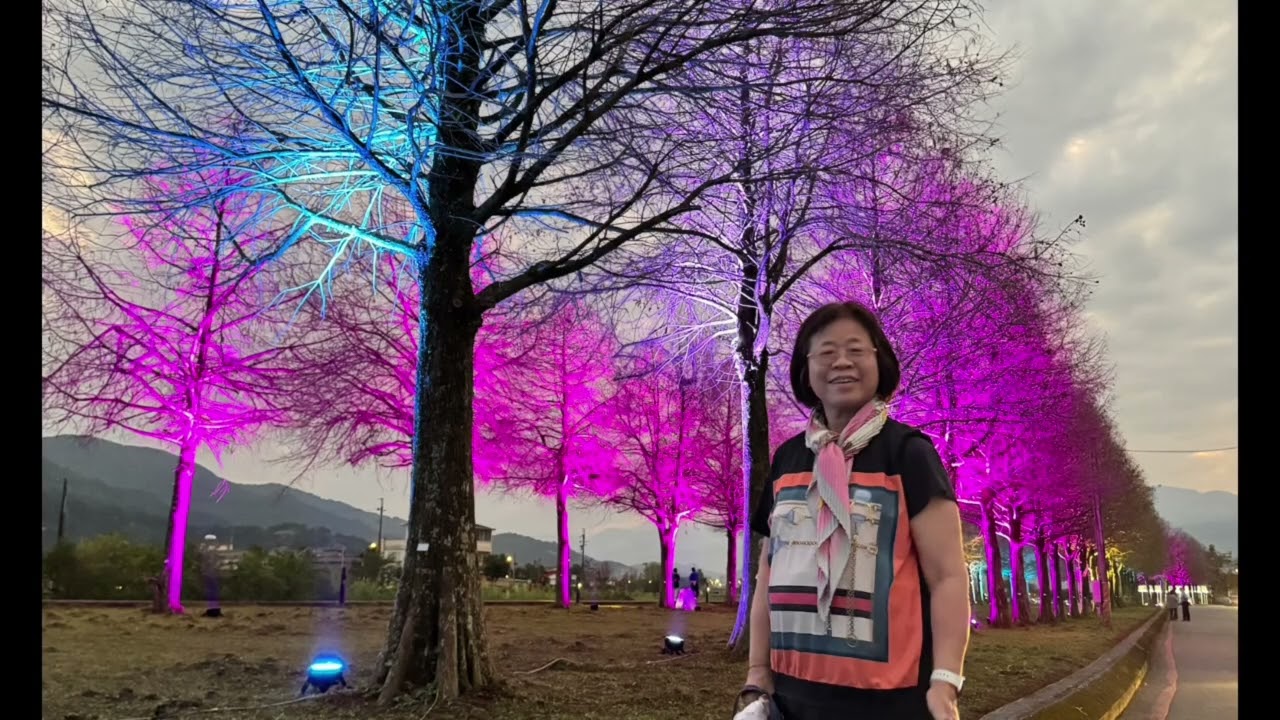 三星落雨松秘境2026年2月