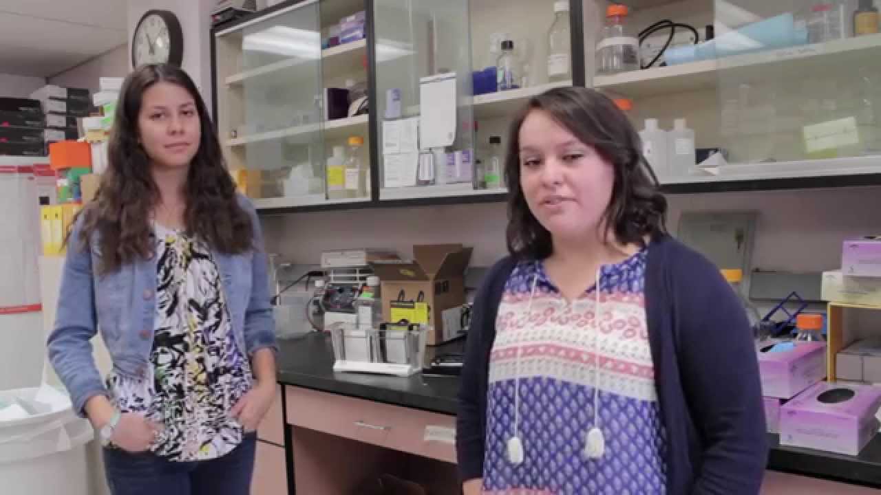 Electrophoresis (2014)