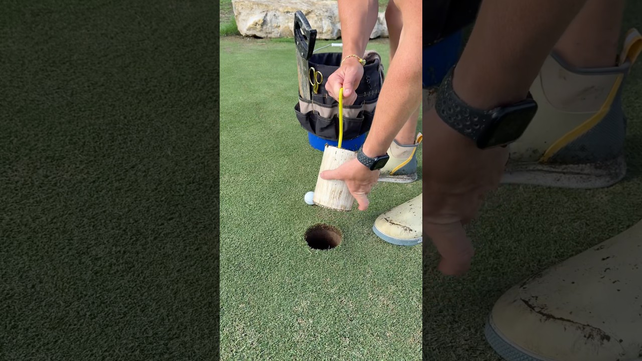 Oddly Satisfying Backyard Golf Course