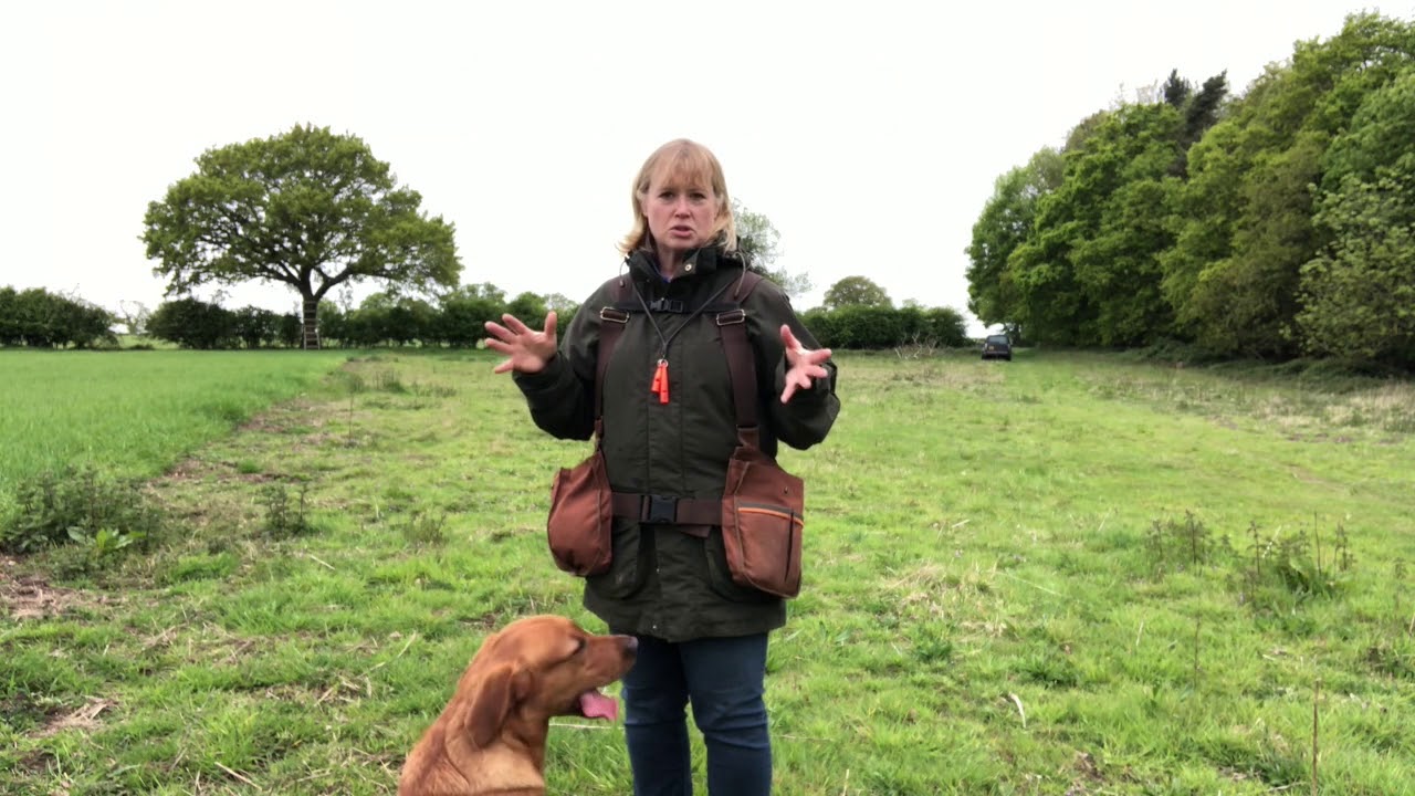Rufriver Gundogs Blinds and Handling Challenge