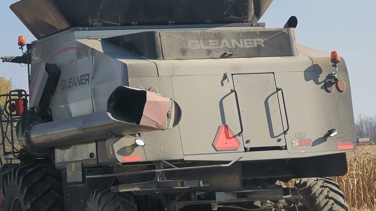 On the Field Grey Corn Harvest 2022 - Gleaner S96 #harvestchaser