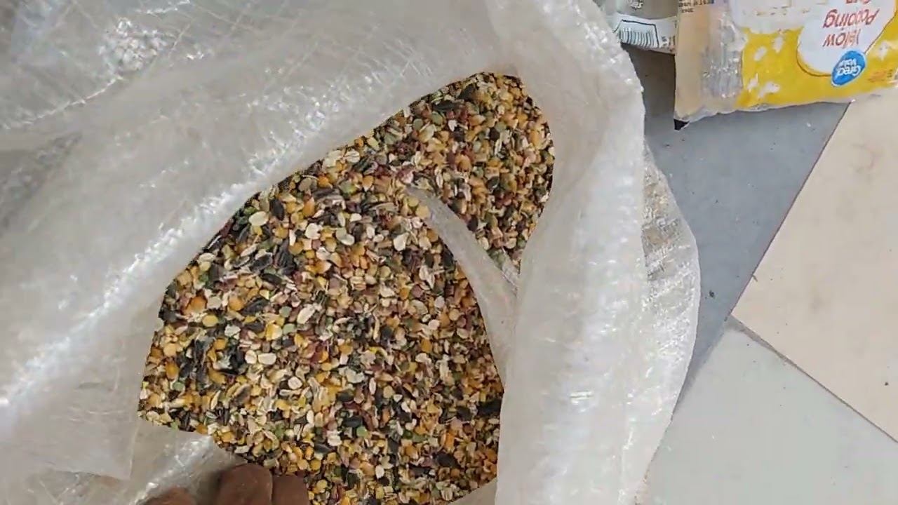 comida para cuido o postura del gallo