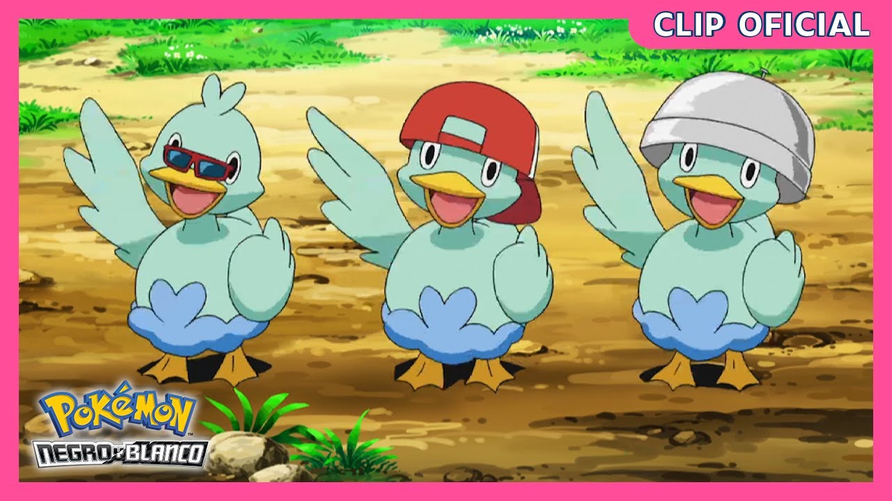 ¡Tres Ducklett ladronzuelos! | Pokémon Negro y Blanco | Clip oficial