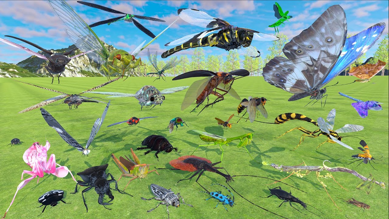 Realistic Insect Size Comparison - 3D Animal Animation Comparison