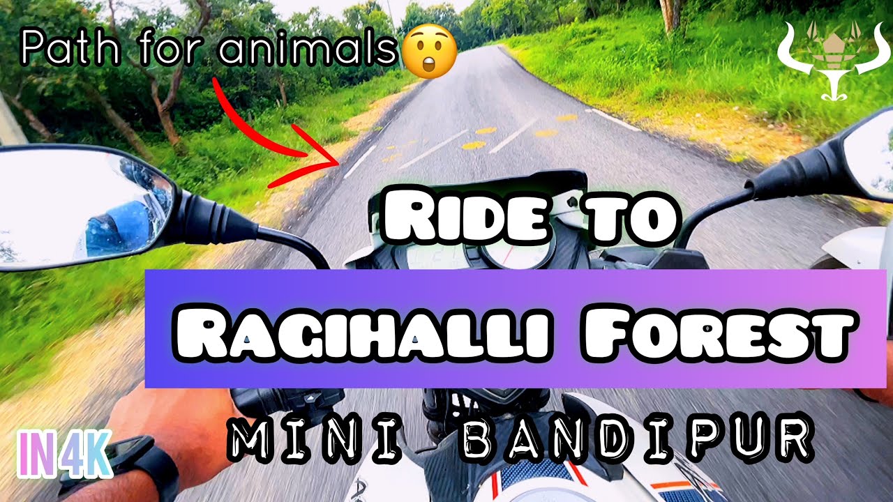 Ride to Ragihalli Forest | Bangalorean’s Bandipur | Bike ride | One day trip | Bangalore | In 4K