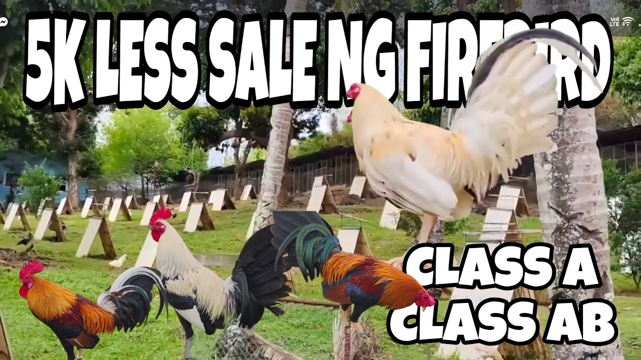 Ang sale ni sir biboy Enriquez na less ng 5k sa mga regular price nia