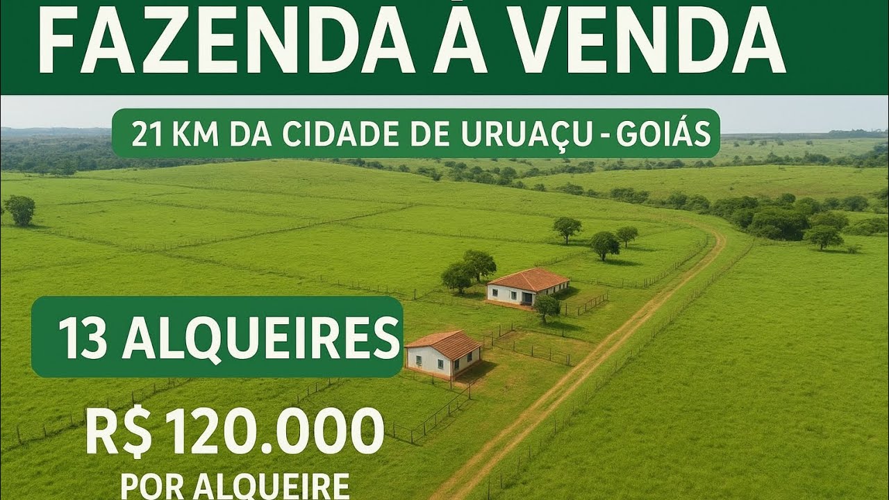 Espetáculo de fazendinha em Uruaçu / Goiás 