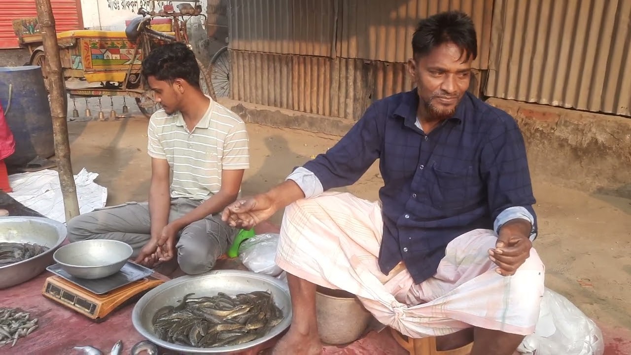 গ্রামীণ বাজারে তাজা মাছ দেখুন। উল্লাপাড়া সিরাজগঞ্জ ২৫/০২/২০২৬#zakirmax71#chitropuri#videoviral