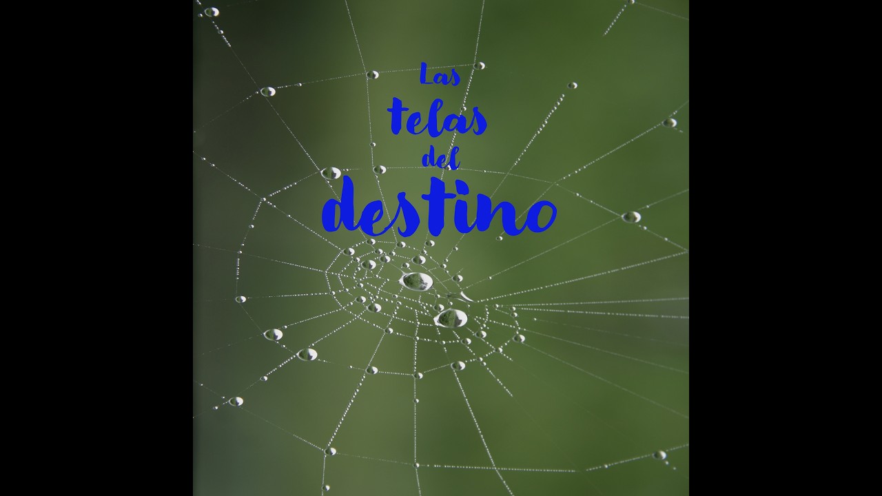 Las telas del destino- By Walter Araújo Filho